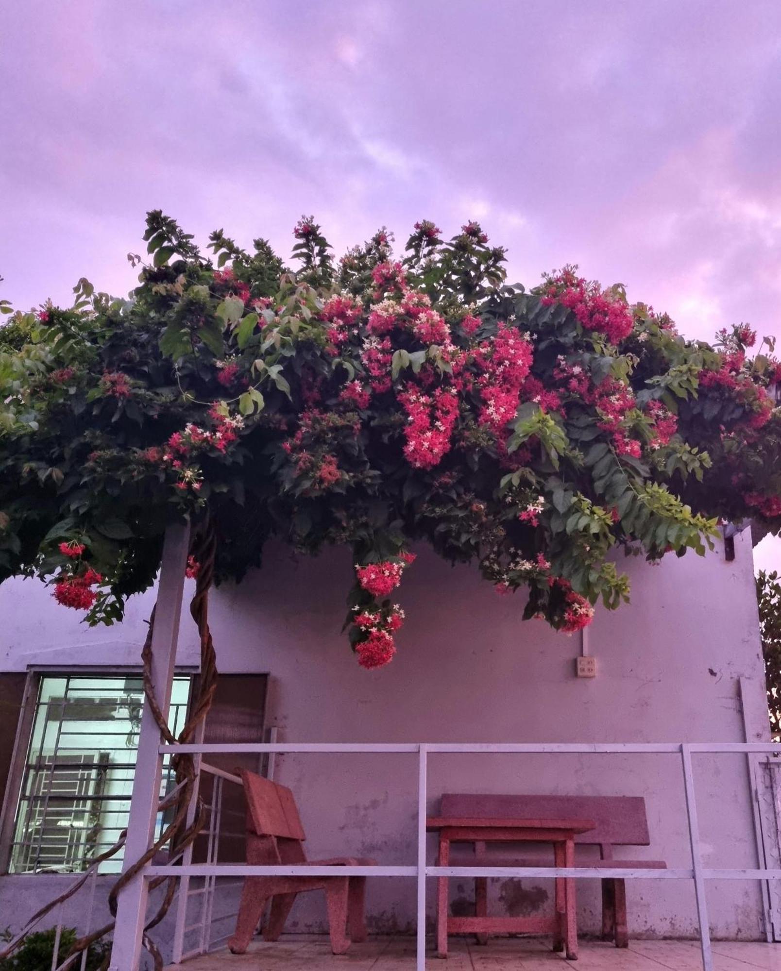 Tran Phu Riverside House Cần Thơ Kültér fotó